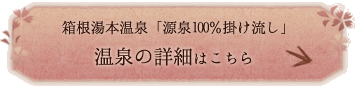 {u100|v̏ڍׂ͂