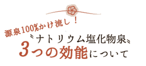 100%IigE 3̌\ɂ